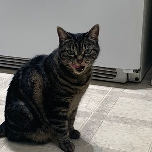 Meet your Posher, Mel